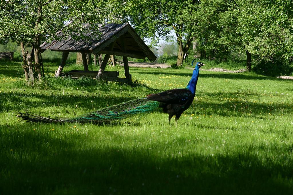 Appartementhof Stadler Pocking  Kültér fotó